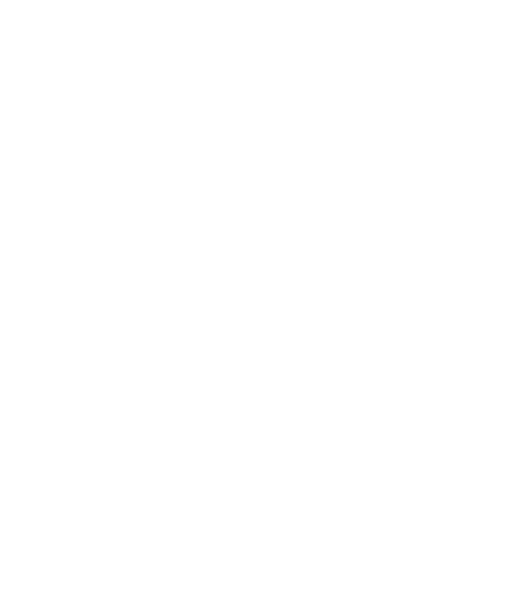 Hayley Style logo